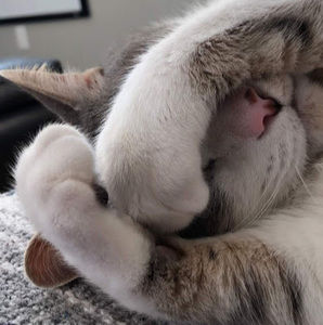 Meet your Posher, Nara-lee